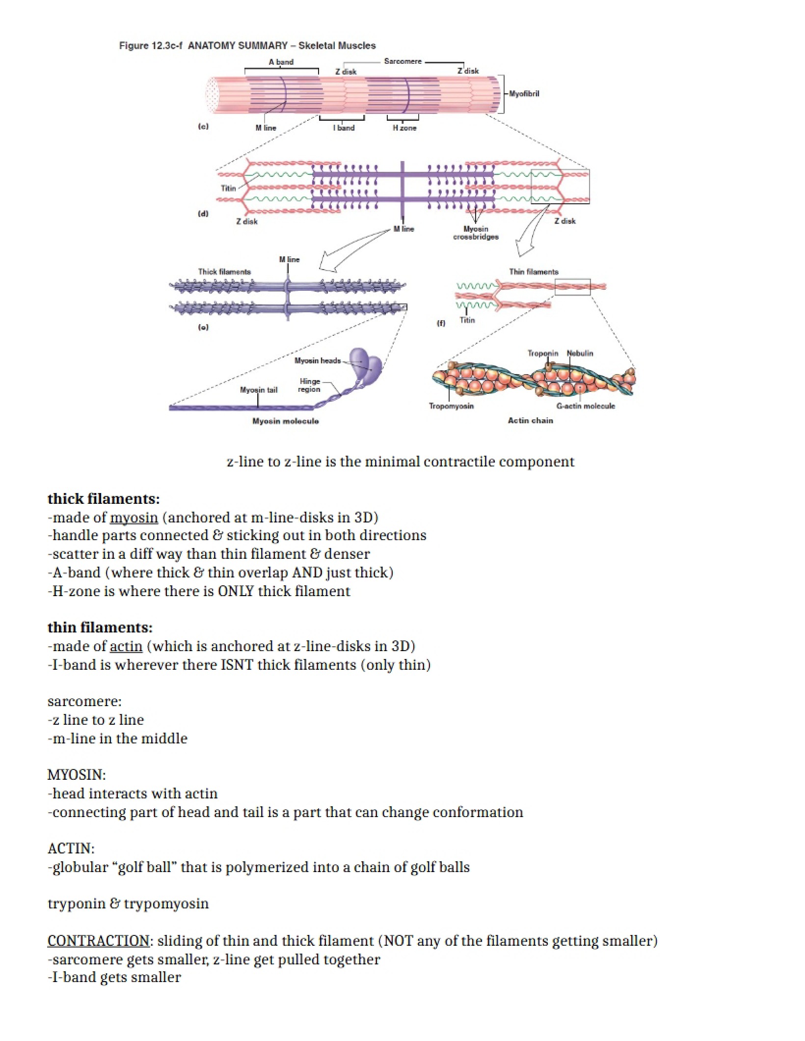 Notes from Lecture 8