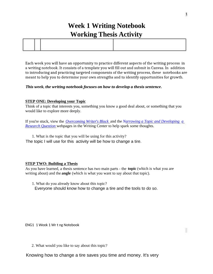 Working Thesis Activity - Week 1 Writing Notebook