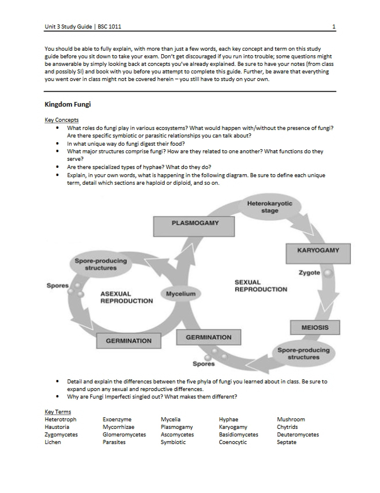 Study Guide for Unit Three