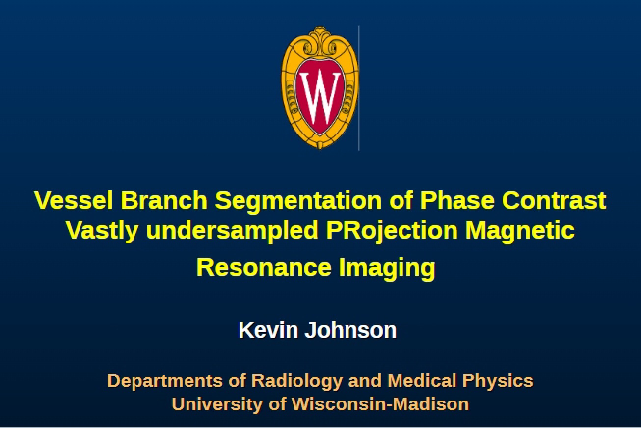 Phase Contrast Vessel Branch Segmentation
