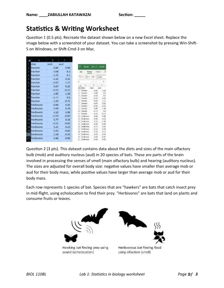 Writing and Statistics Worksheet