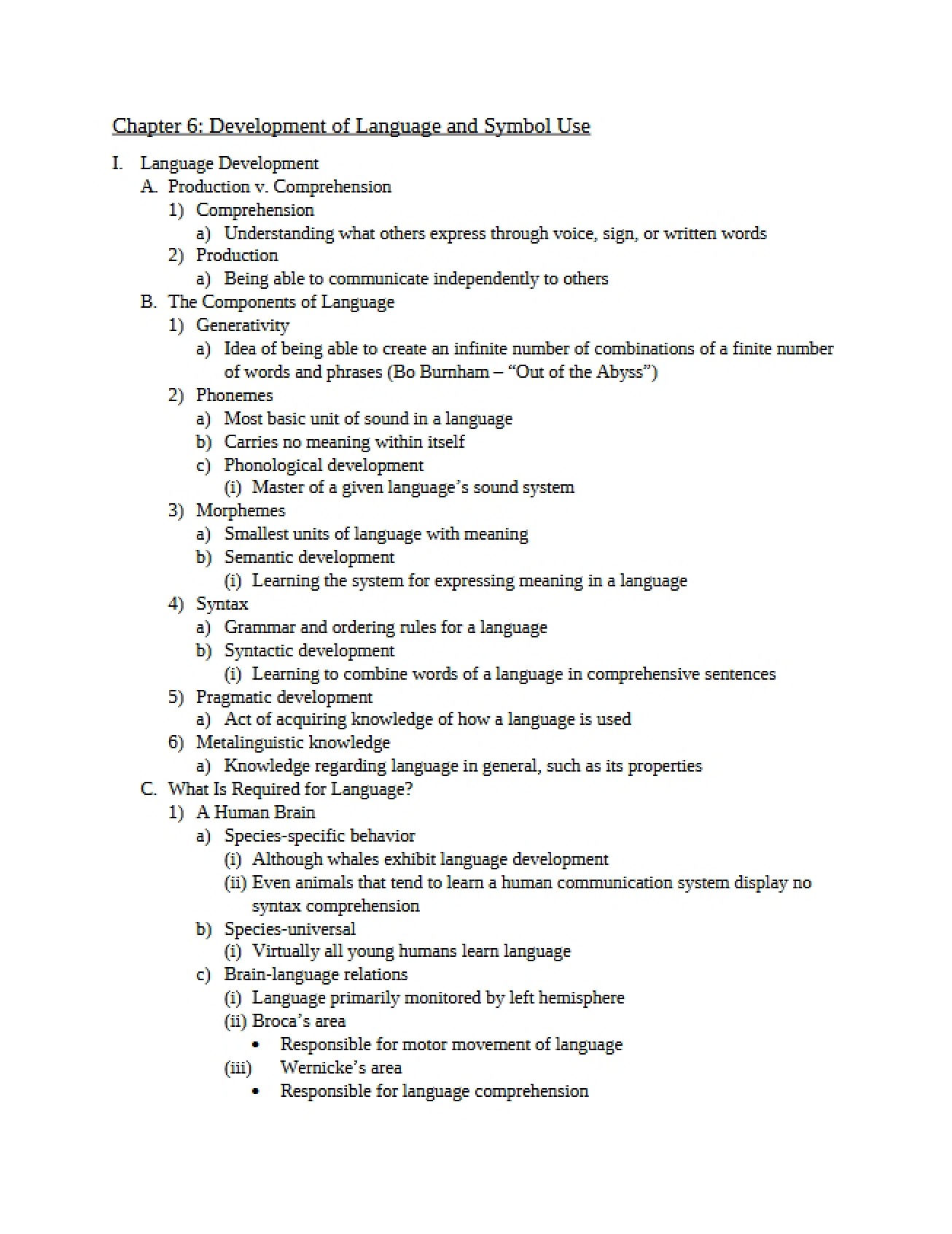 Symbol Use and Language Development (Chapter 6)