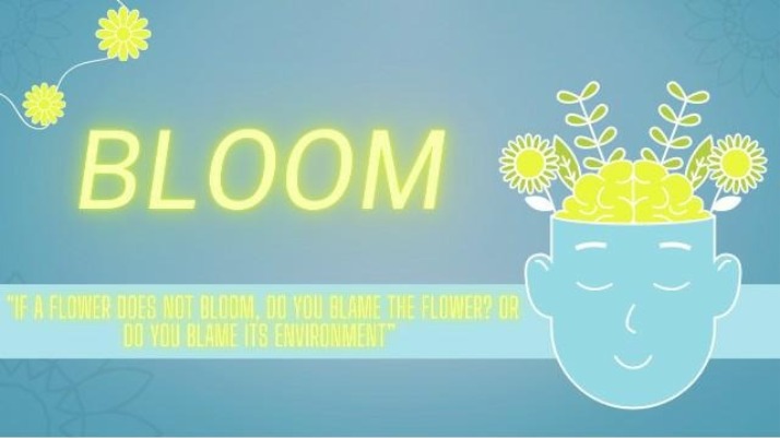 Why Environment Matters for Success