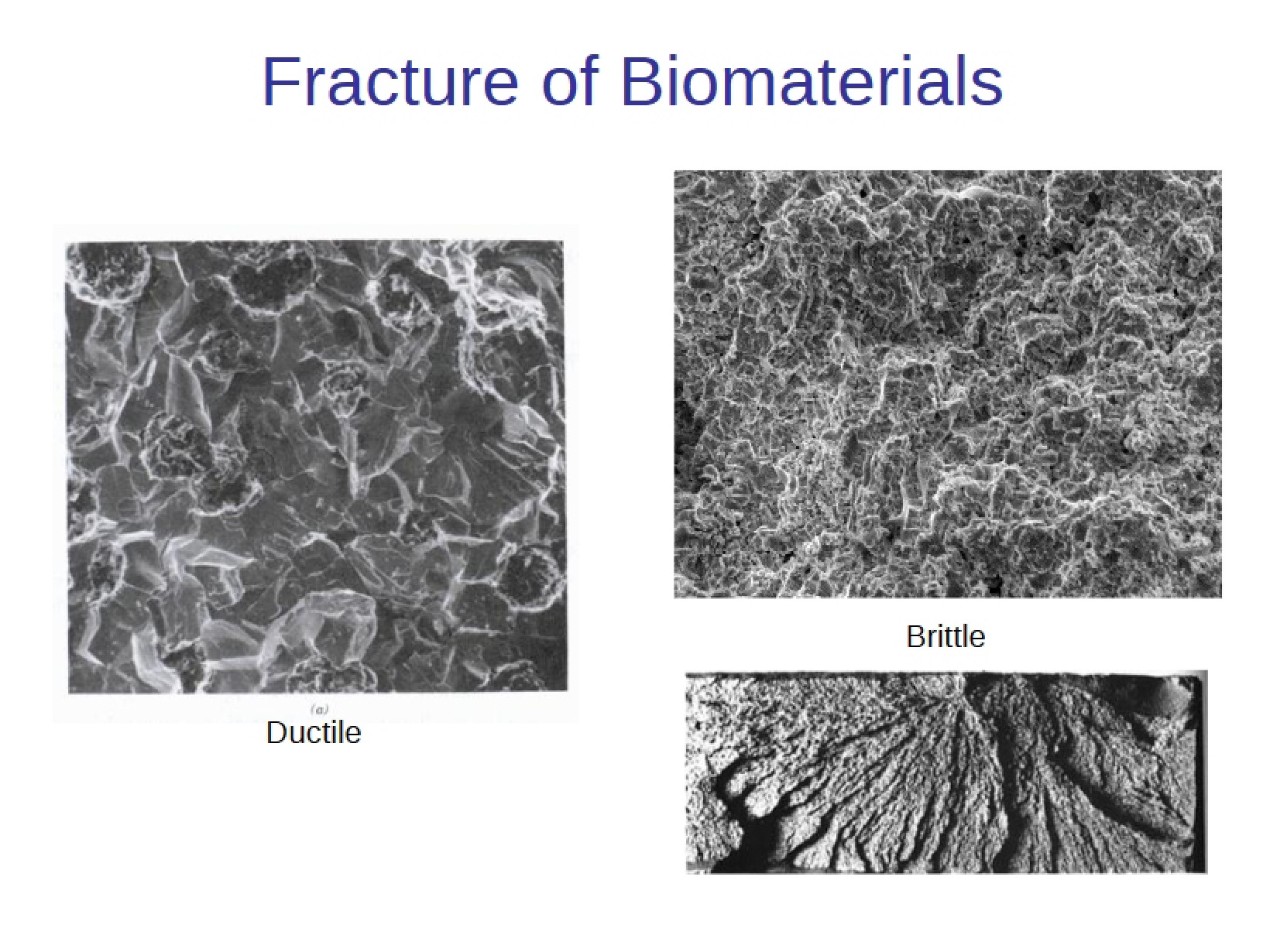 Biomaterial Fracture