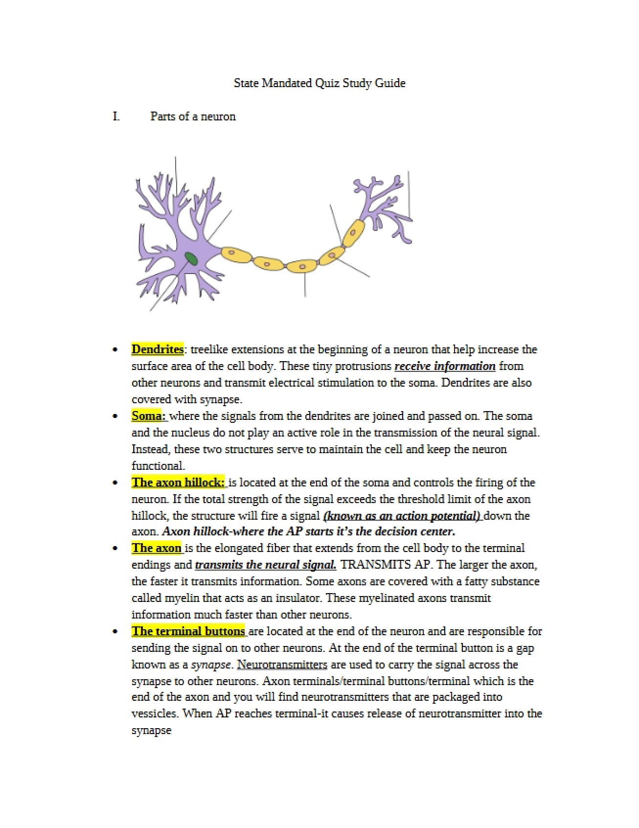 Structural Components of a Neuron