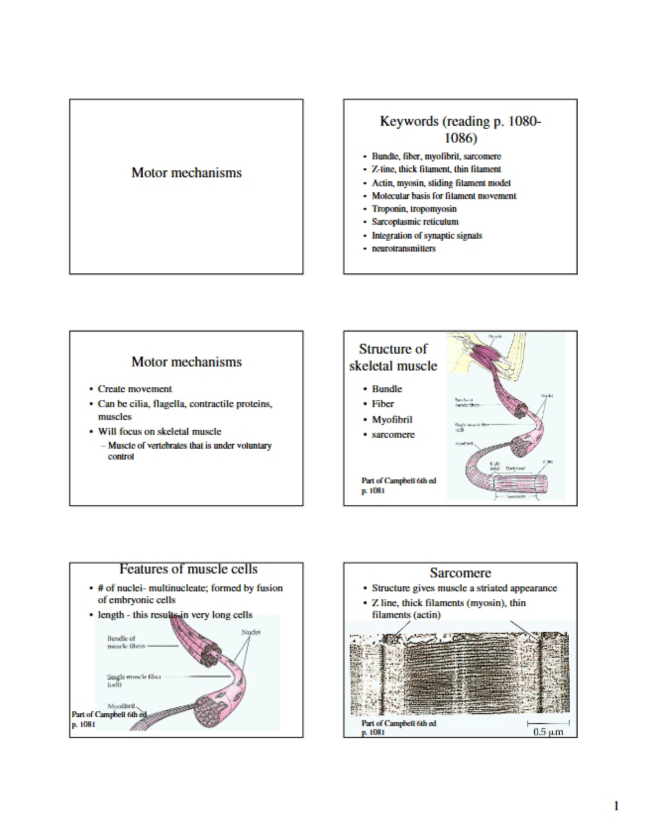 Mechanisms of Motors