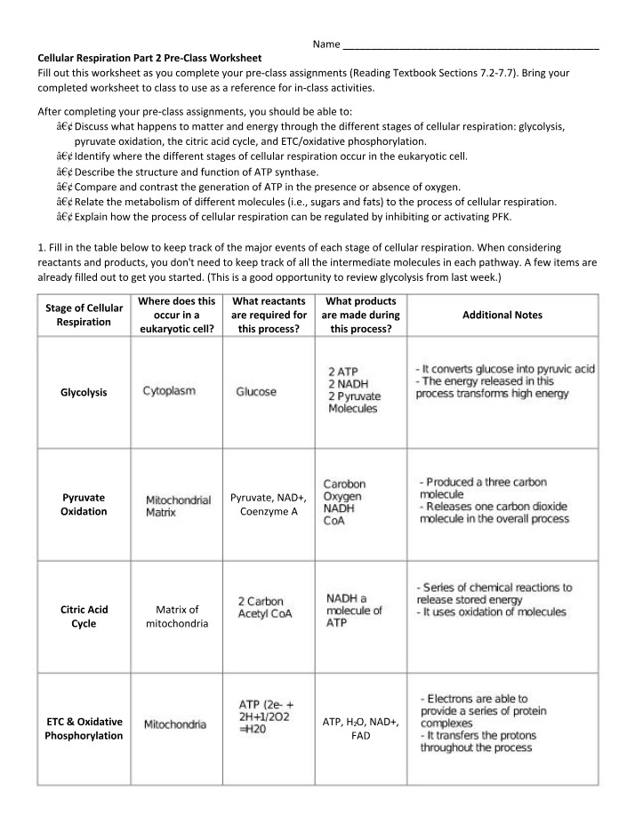 Cellular Respiration Part 2 Pre-Class Worksheet Set A