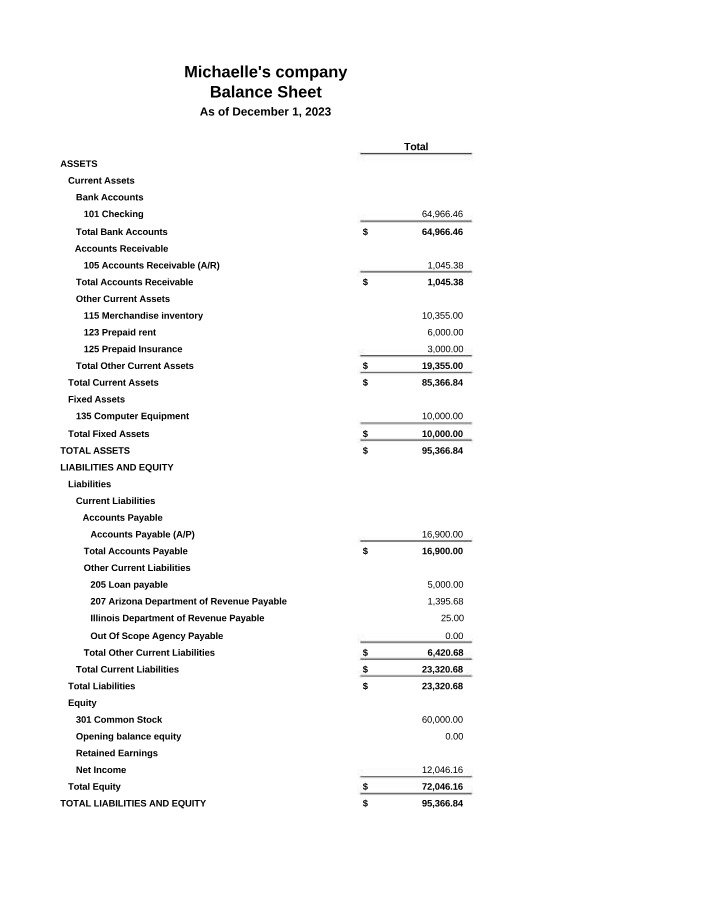 Michaelle's Company Balance Sheet - December 1, 2023