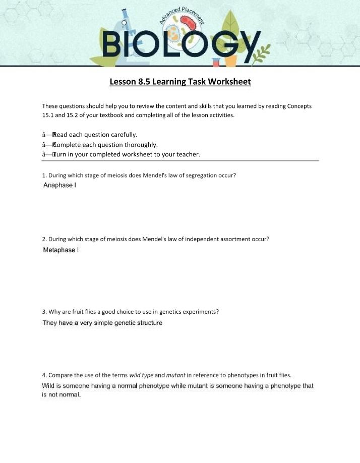 Worksheet for Lesson 8.5 Learning Task