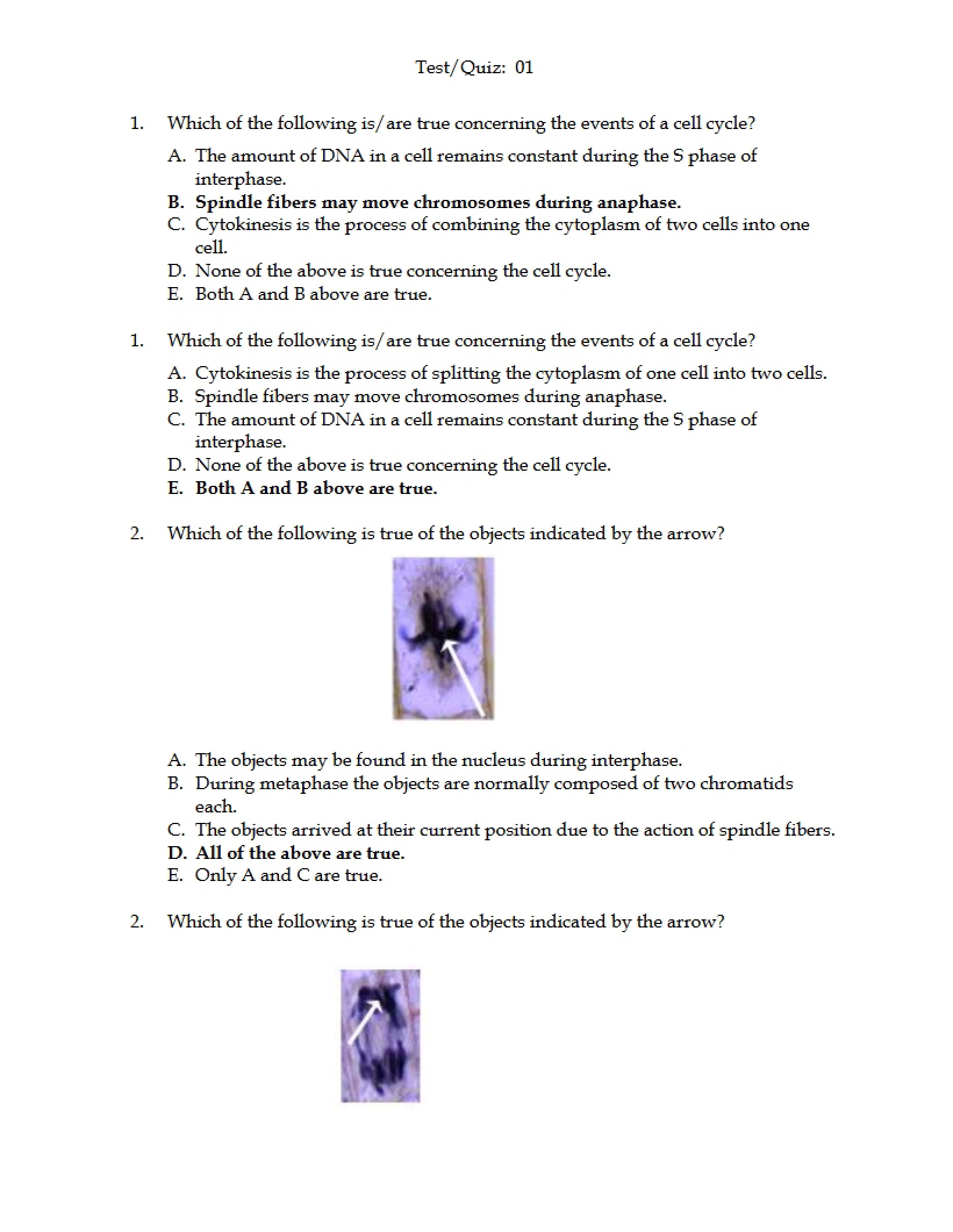Answer Key for Quiz 1