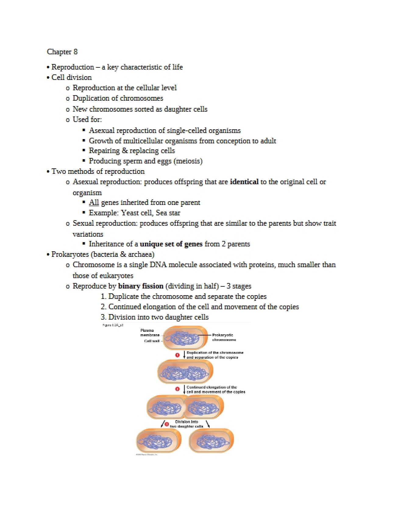 Eighth Chapter of General Biology II