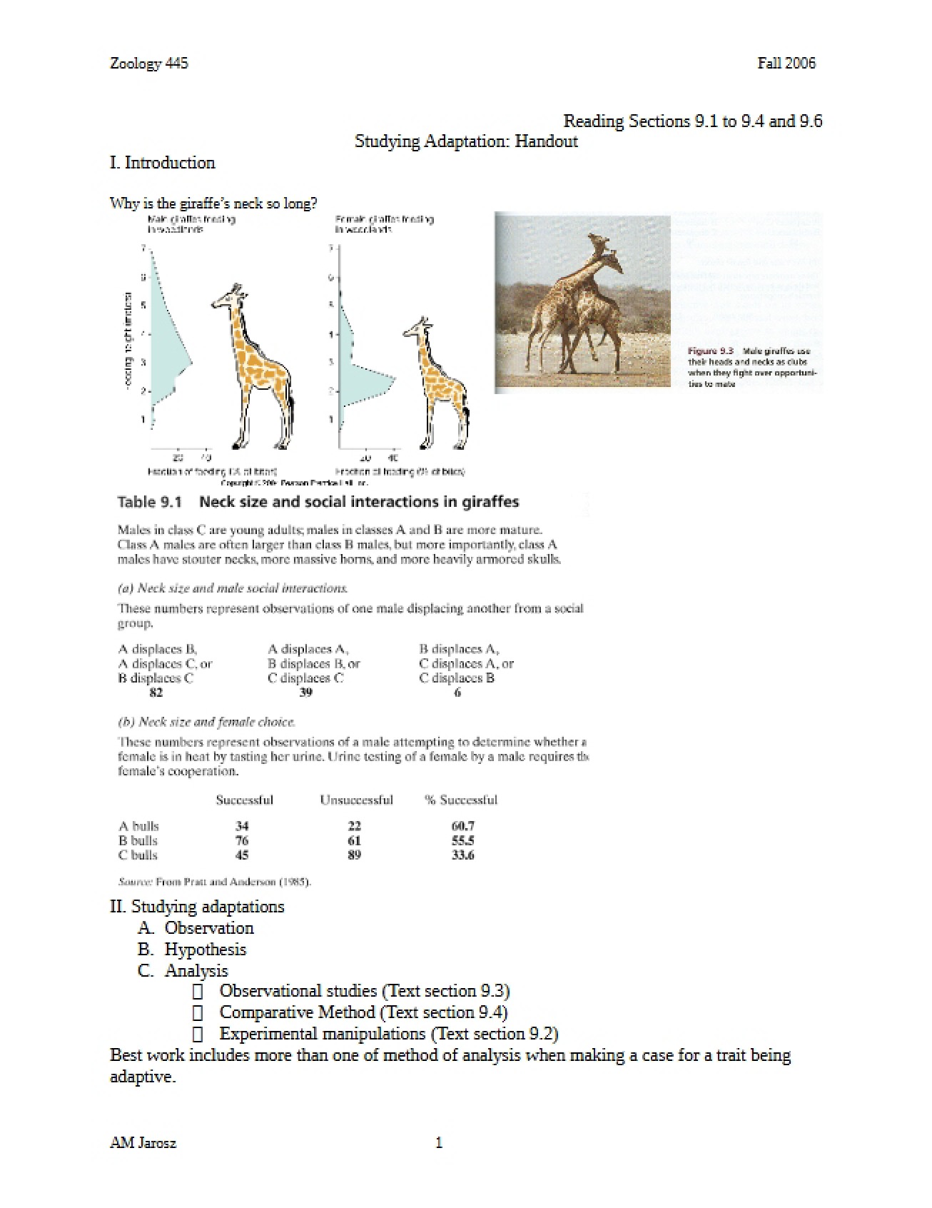 Adaptation Studies