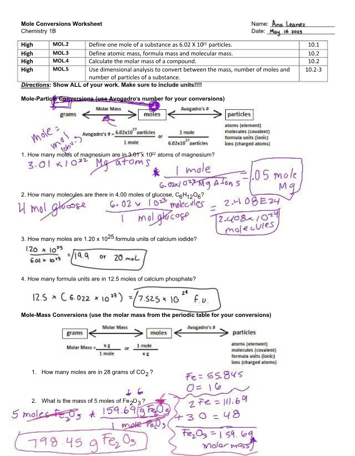 Worksheet on Mole Conversions