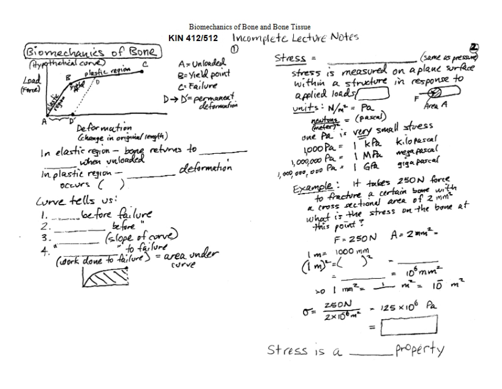 Skeletal Biomechanics Lecture Notes