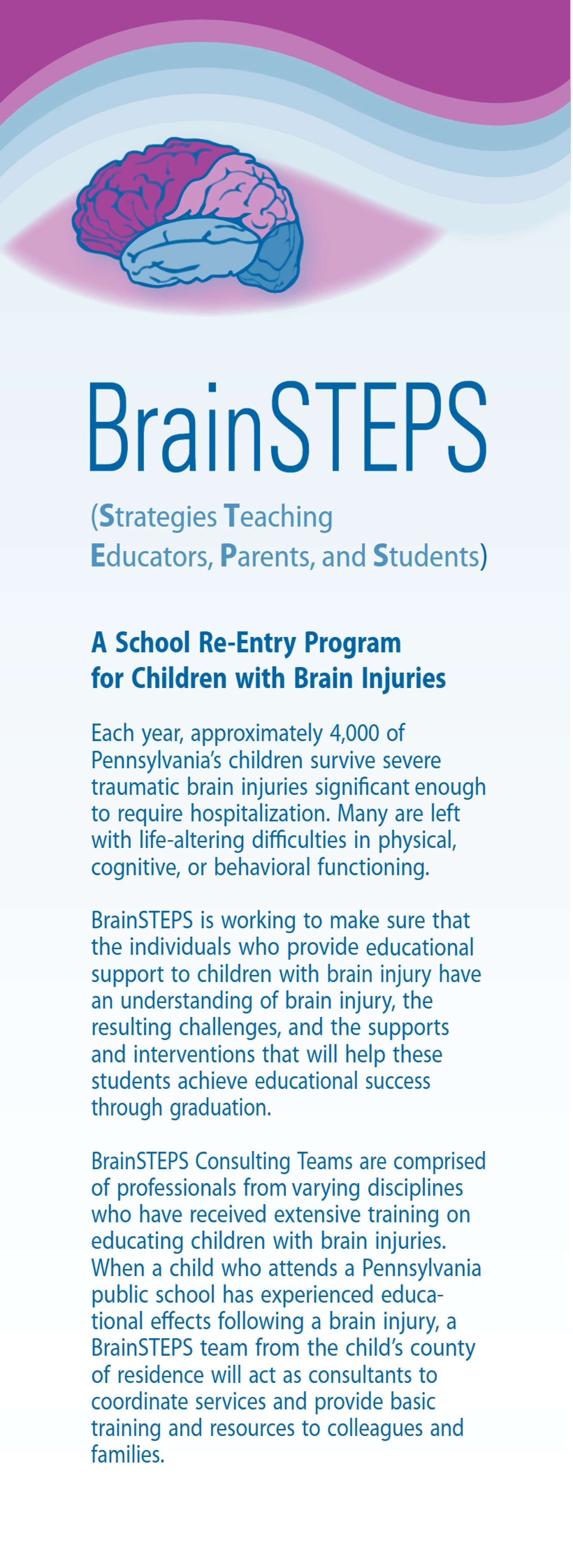 BrainSTEPS Rack Card (June 2011)