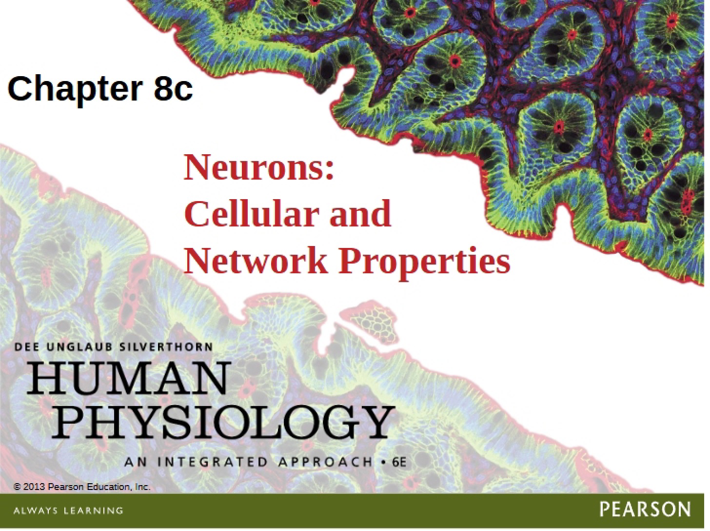 Neurons NetworkCellular Properties