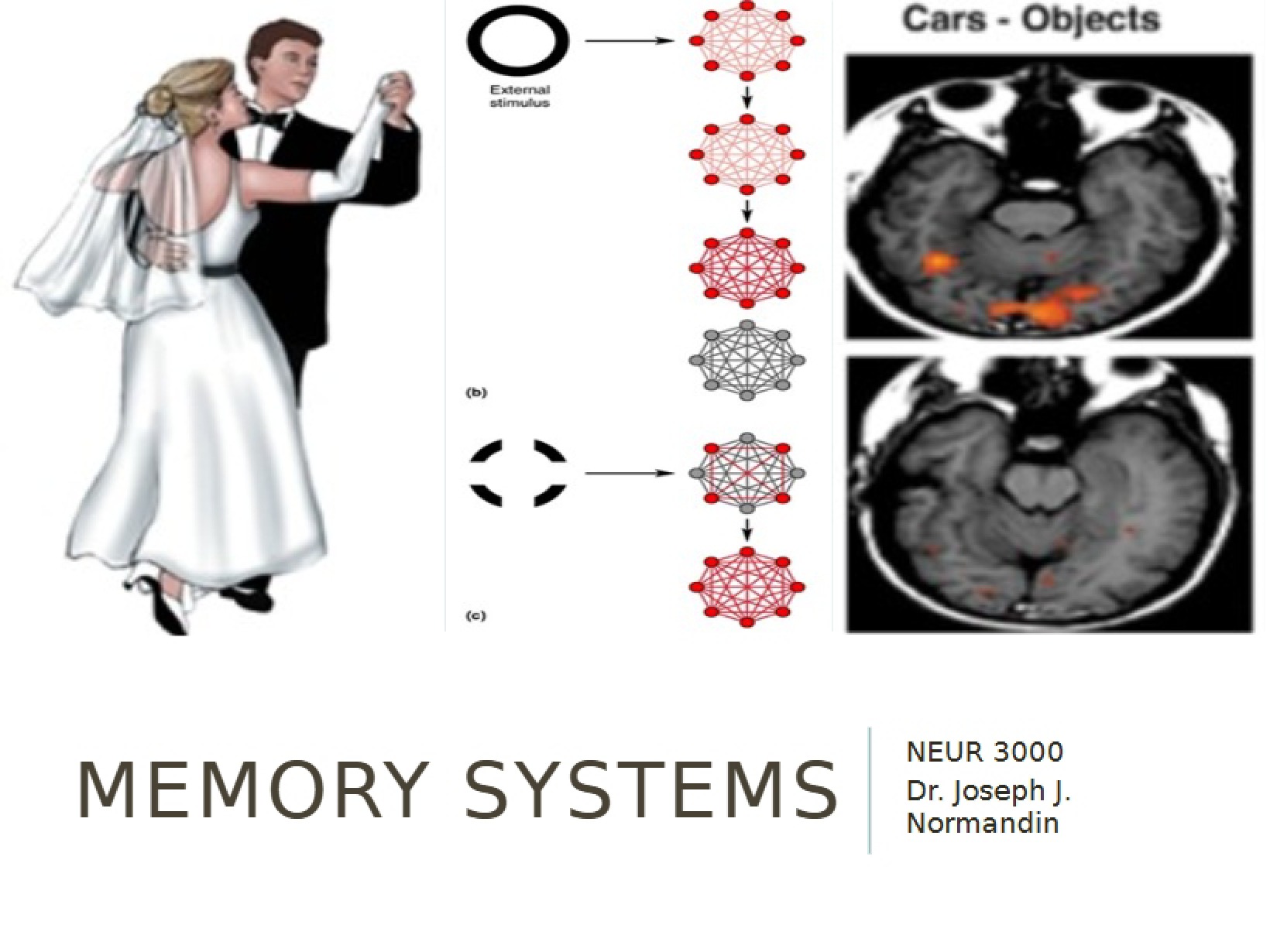 Chapter 24 Principles of Neuroscience