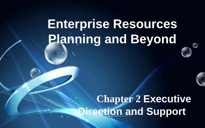 Enterprise Resource Planning - Enhancing Executive Resources