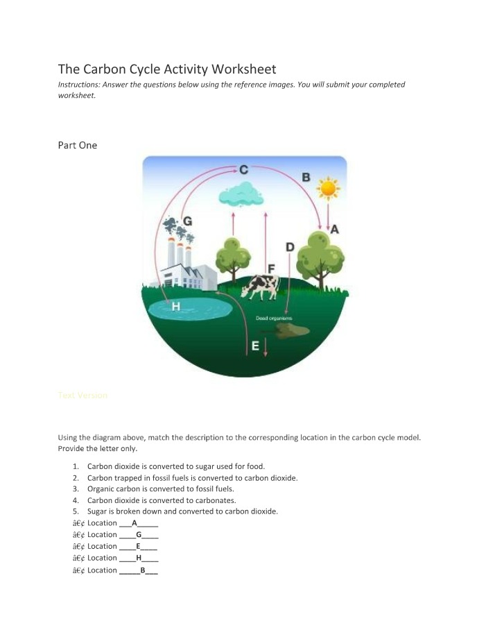 The Carbon Cycle Worksheet - Explained and Illustrated