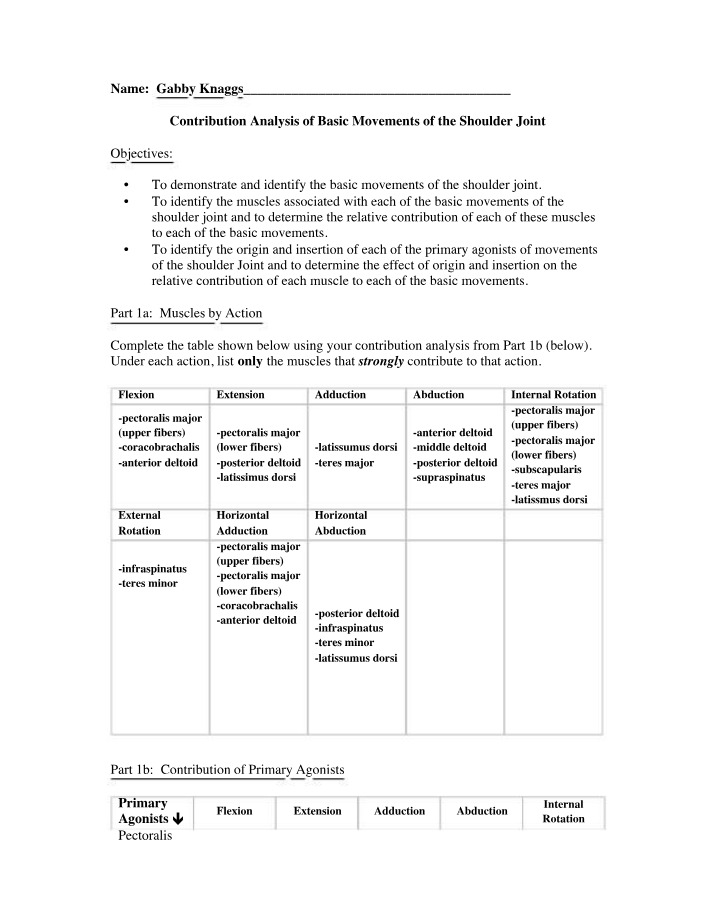 Shoulder Joint Movements and Muscles Contribution Analysis