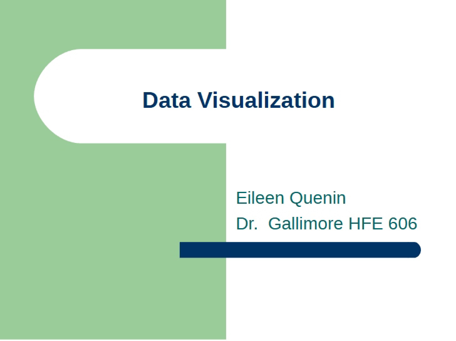 Visualizing Data