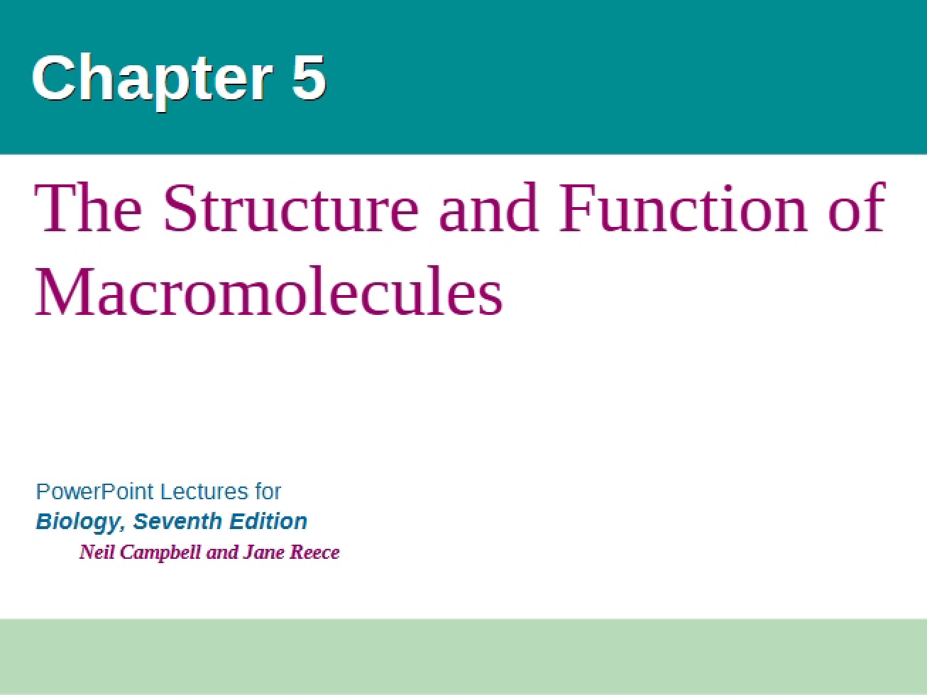 Fifth Chapter An Introduction to the Study of Macromolecules