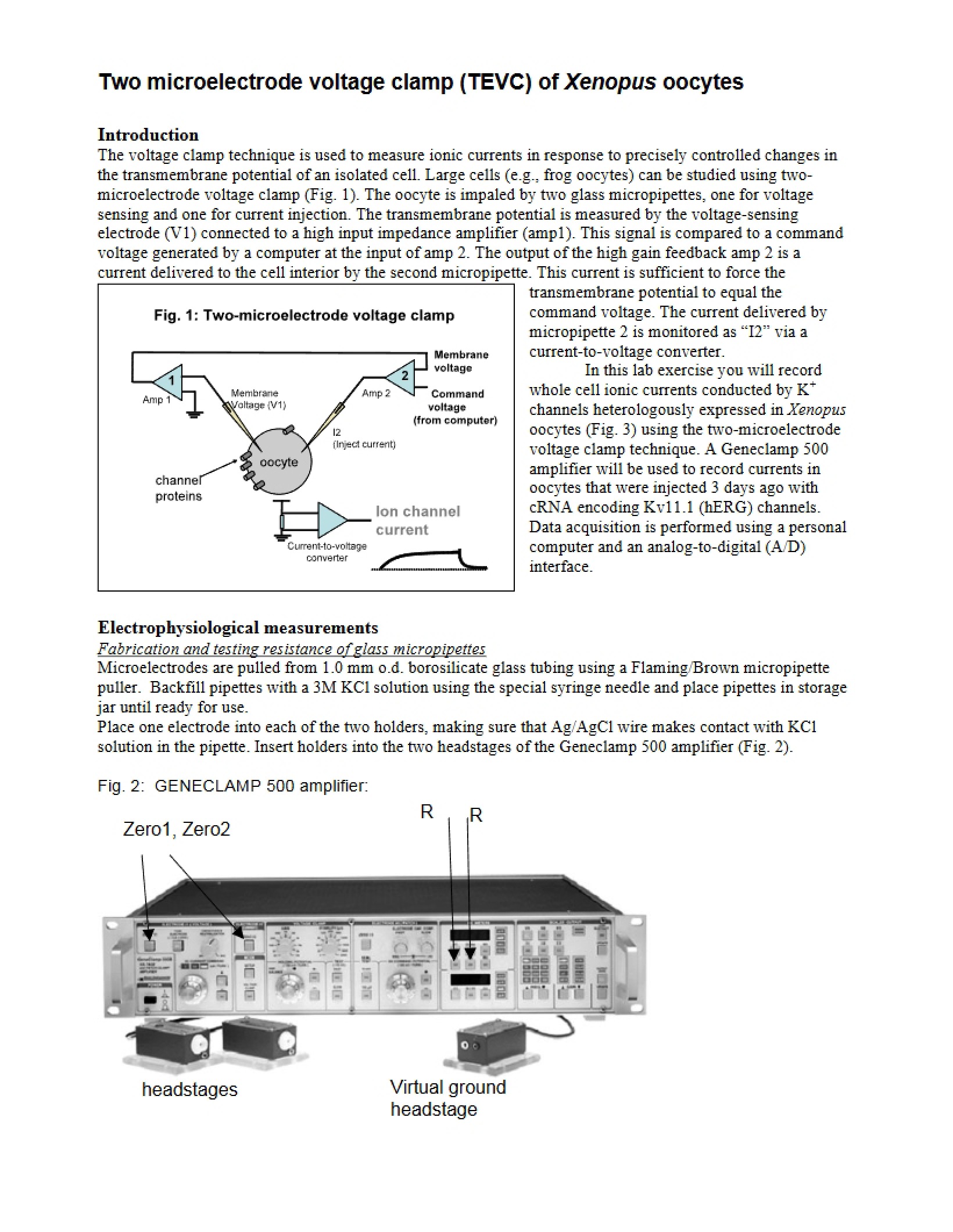 Voltage Clamp using Two Microelectrodes