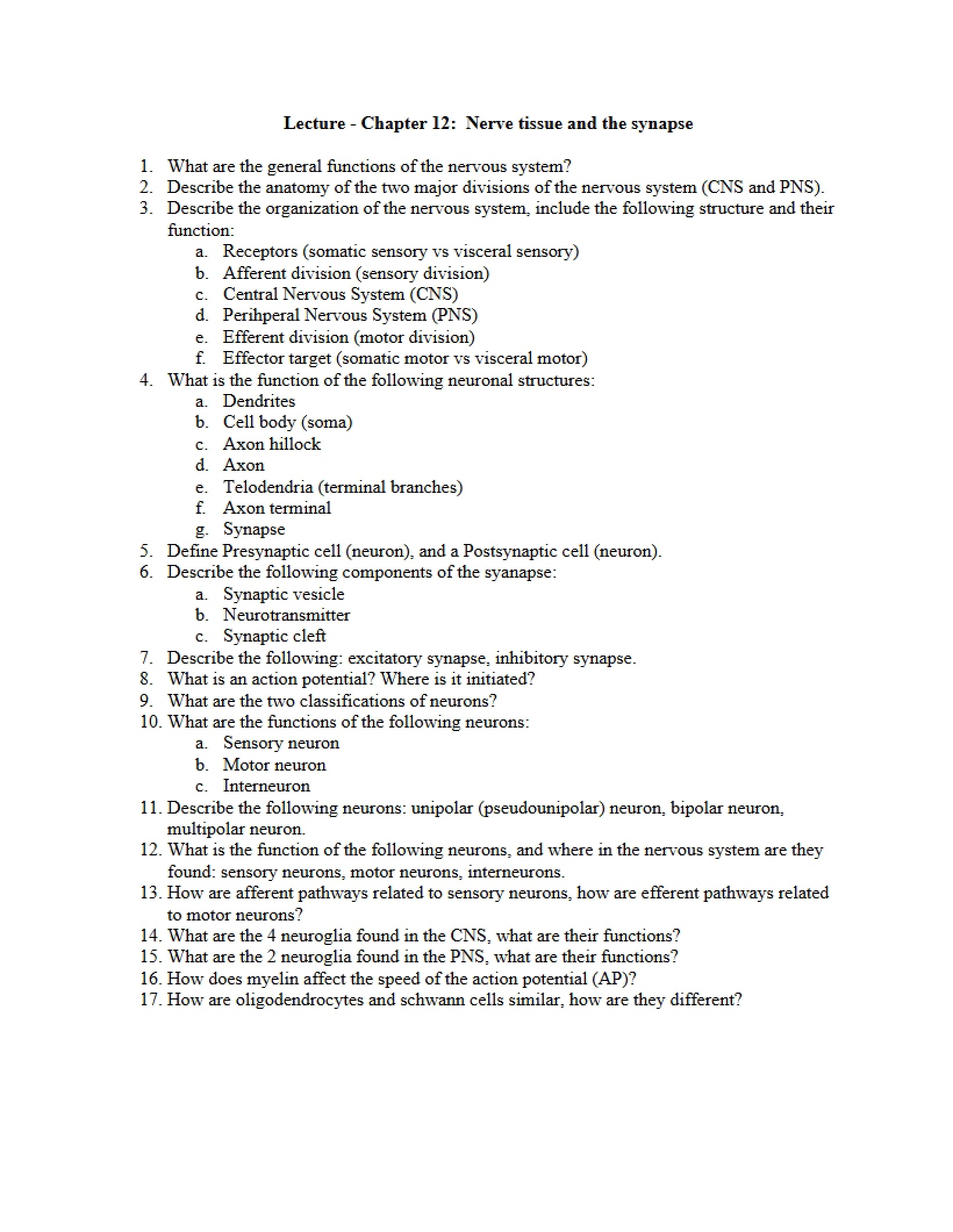 Synapse and Nerve Tissue Lecture (Ch. 12)