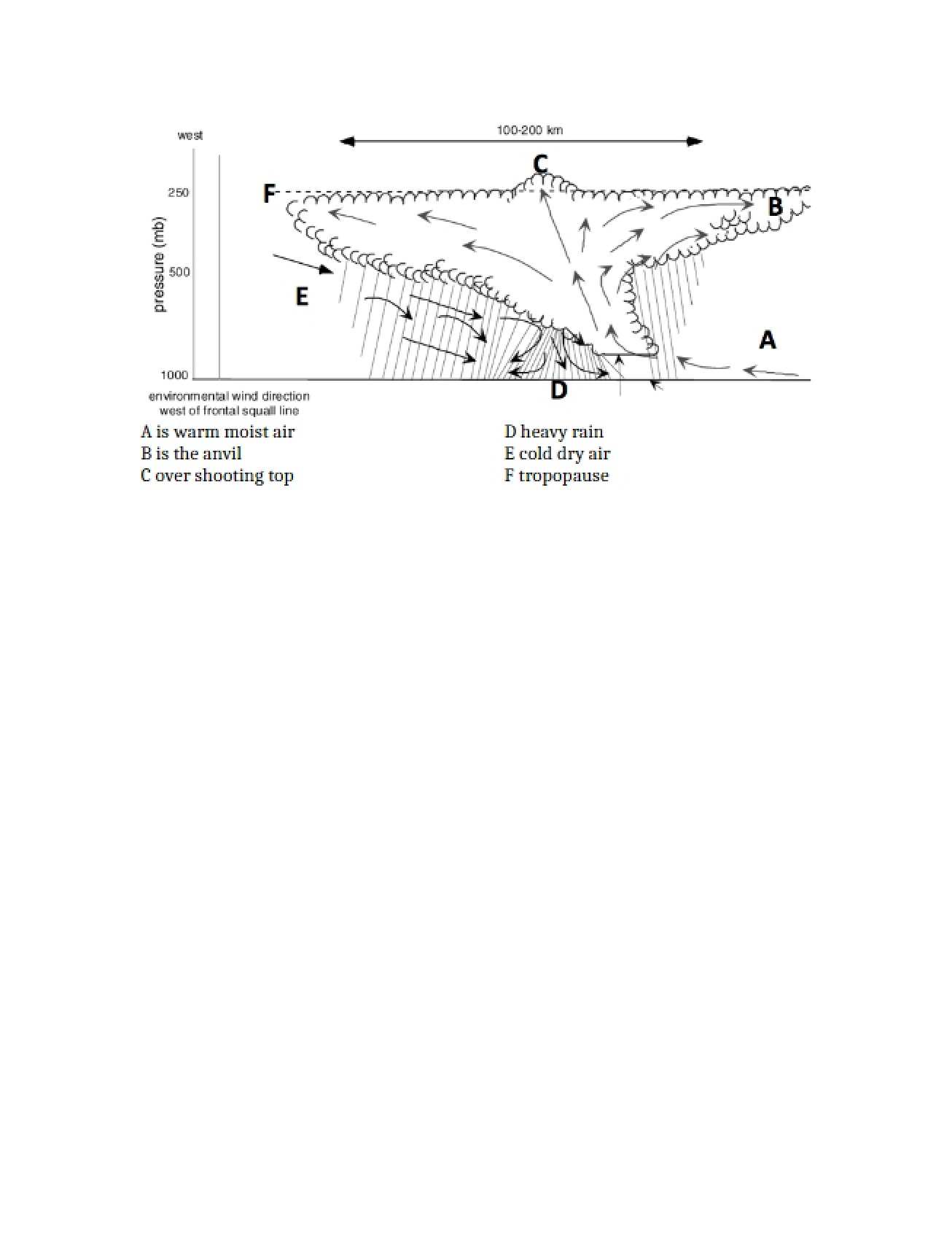 Thirteenth Homework for Weather and the Atmosphere