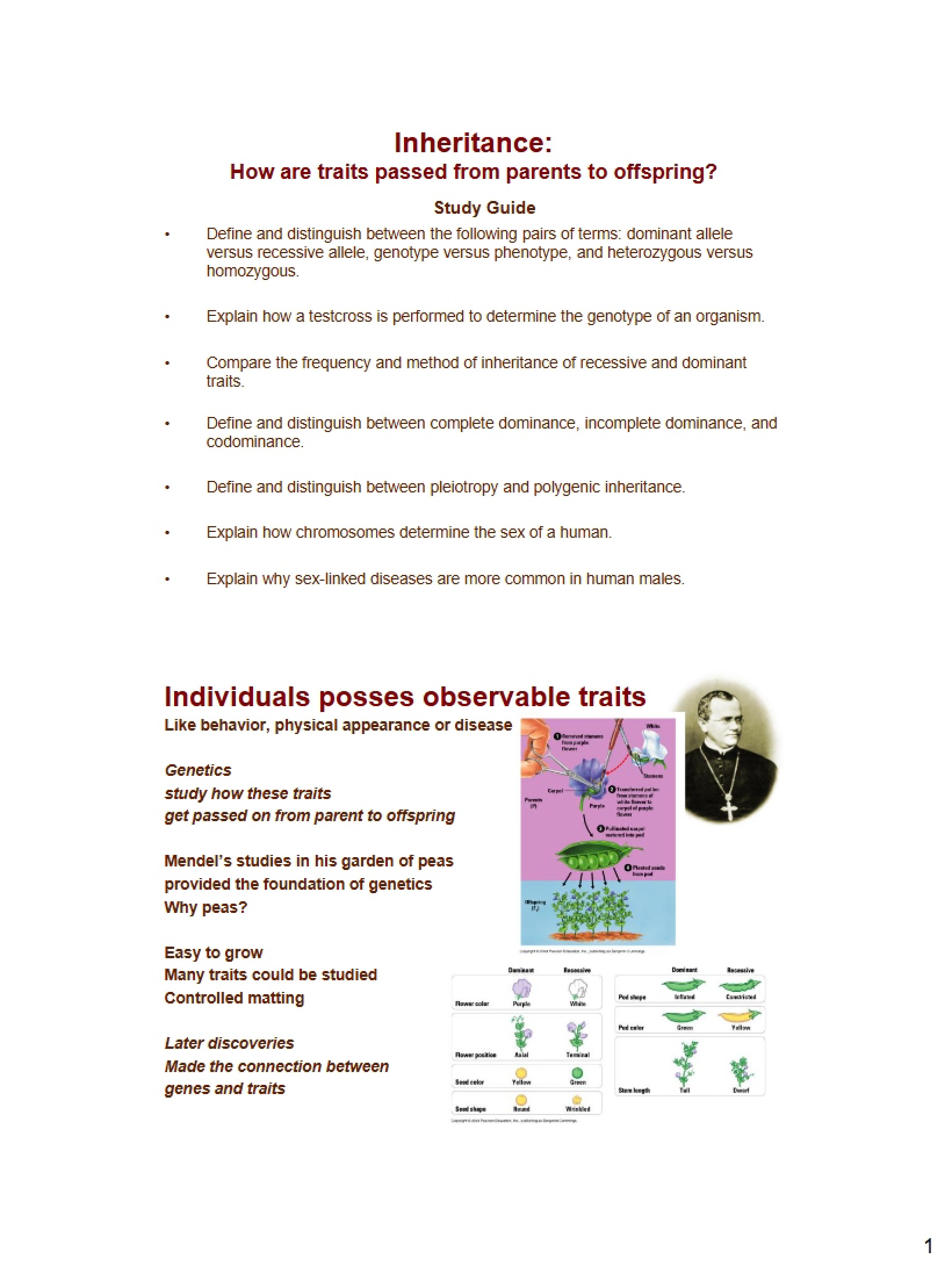 Biology 10 Study Guide
