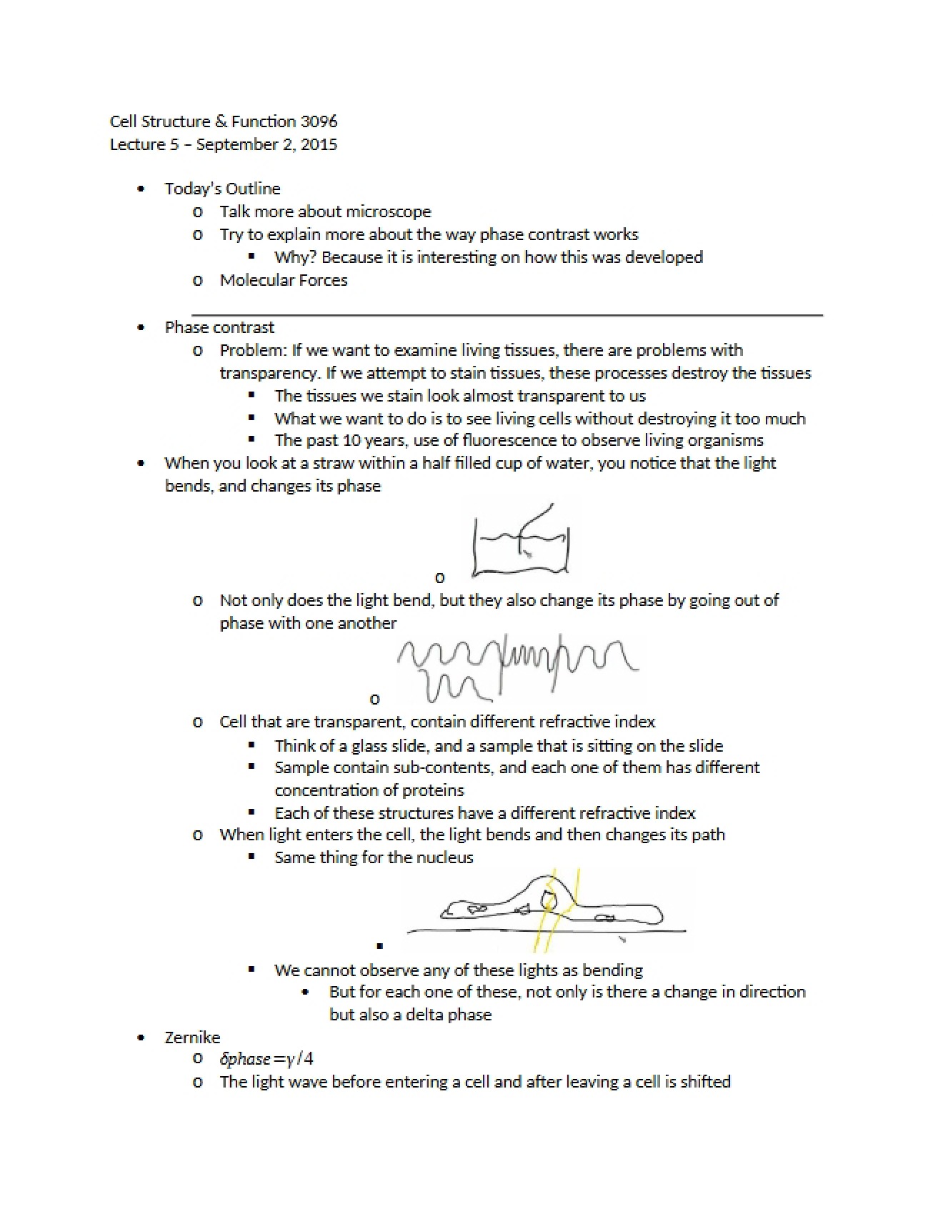 Introduction to the Structure of the Cell