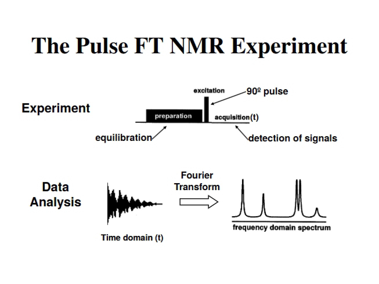 Experiment on Pulse FT NMR
