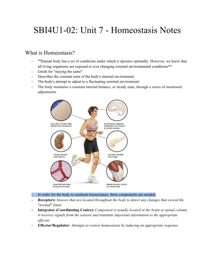 Homeostasis Study Notes