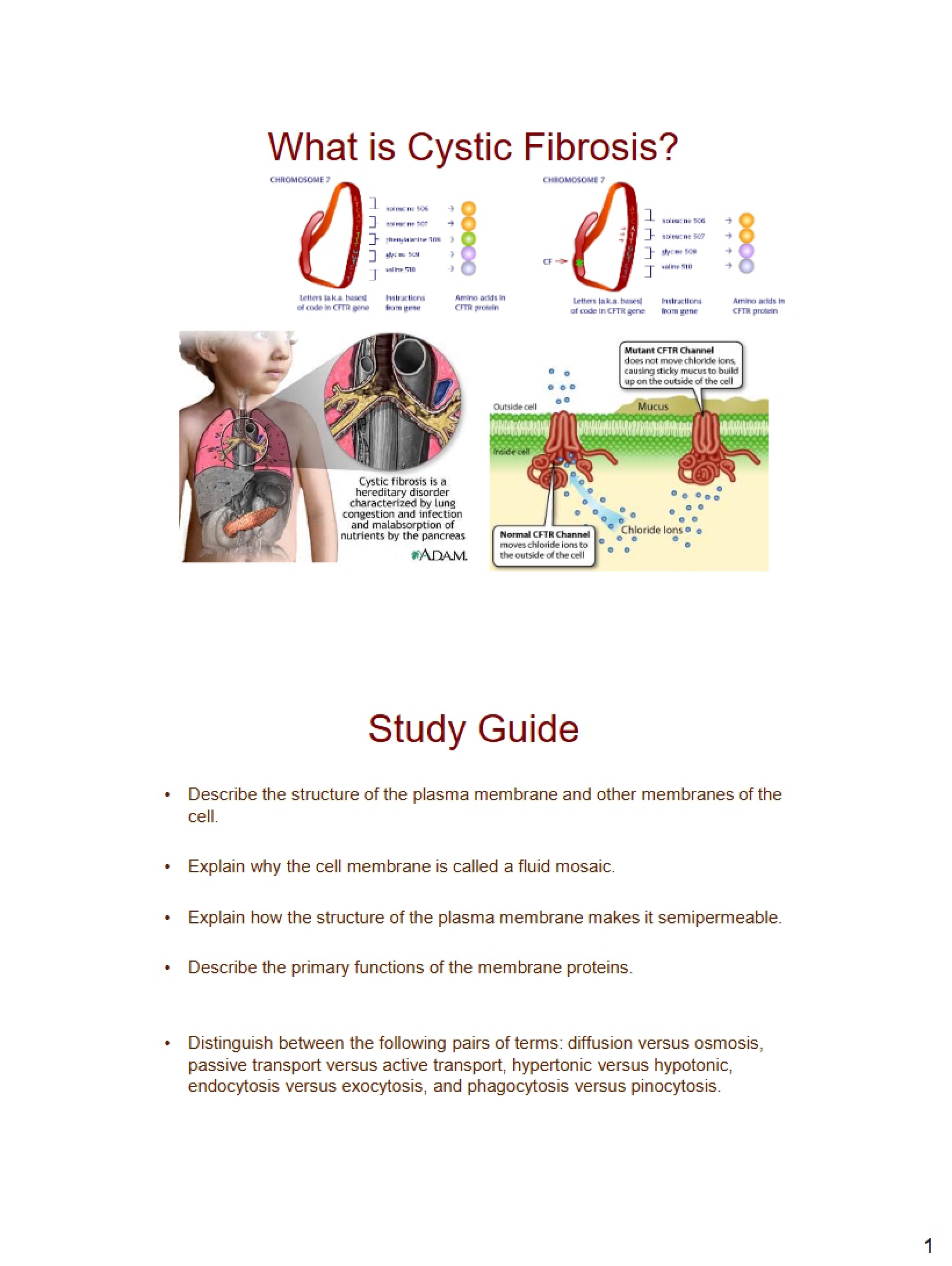 Defining Cystic Fibrosis