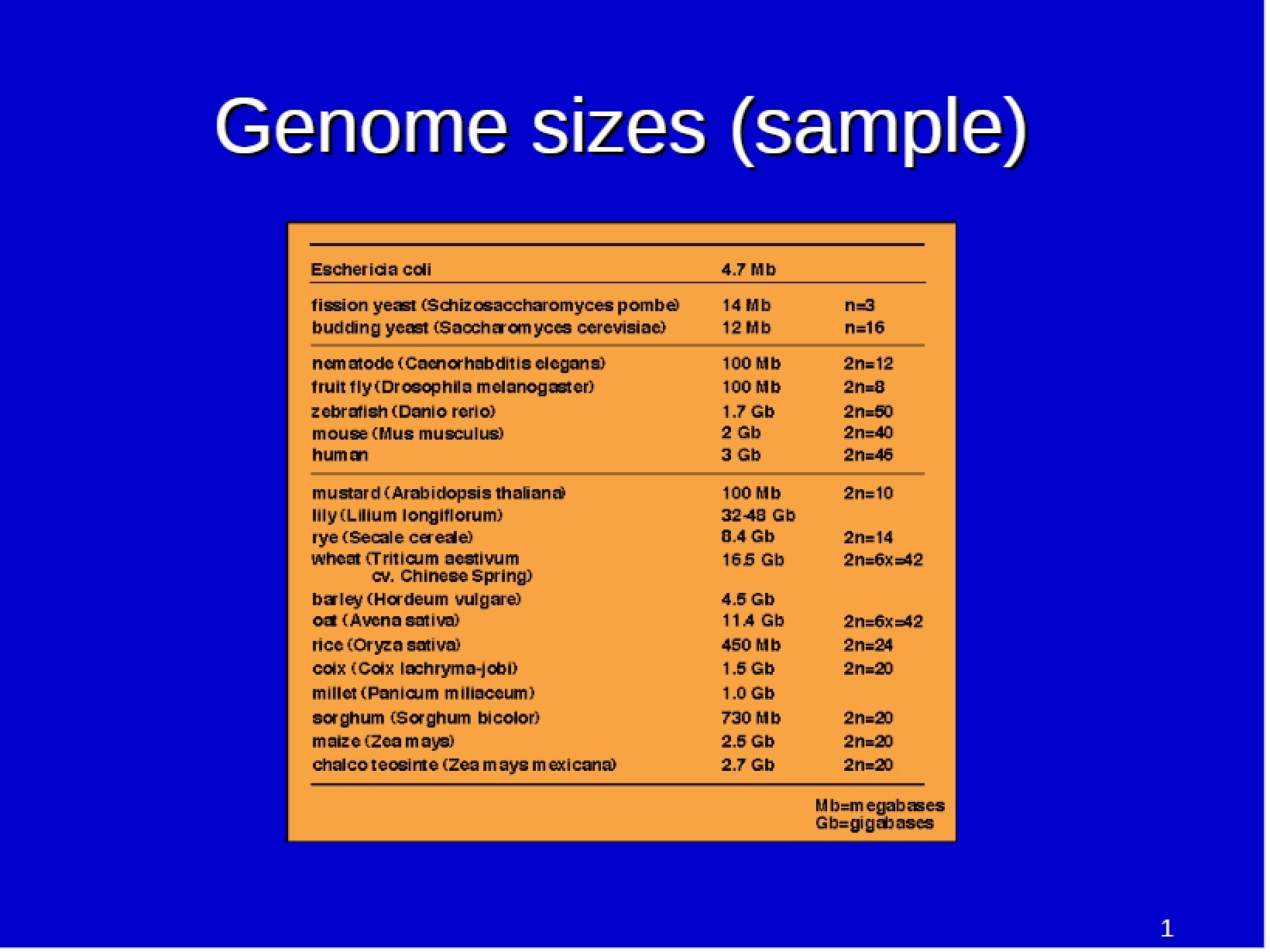 Sizes of Genomes