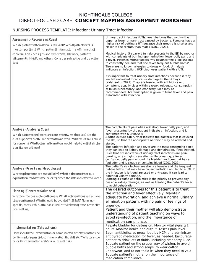 Nursing Process Worksheet for Urinary Tract Infection