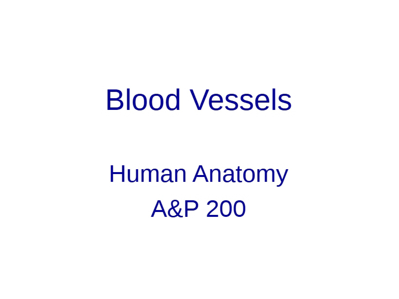 Vascular System