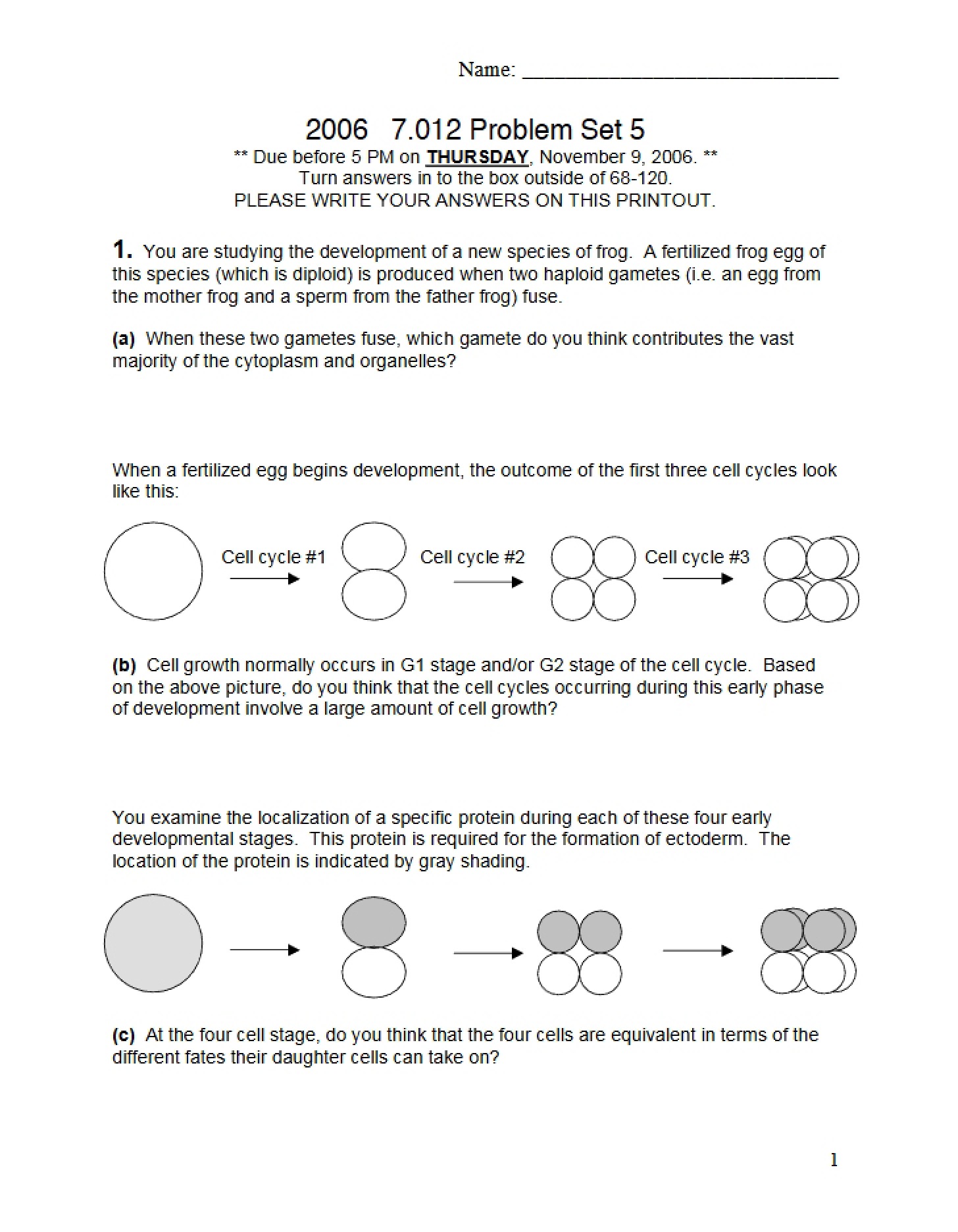 Fifth Problem Set