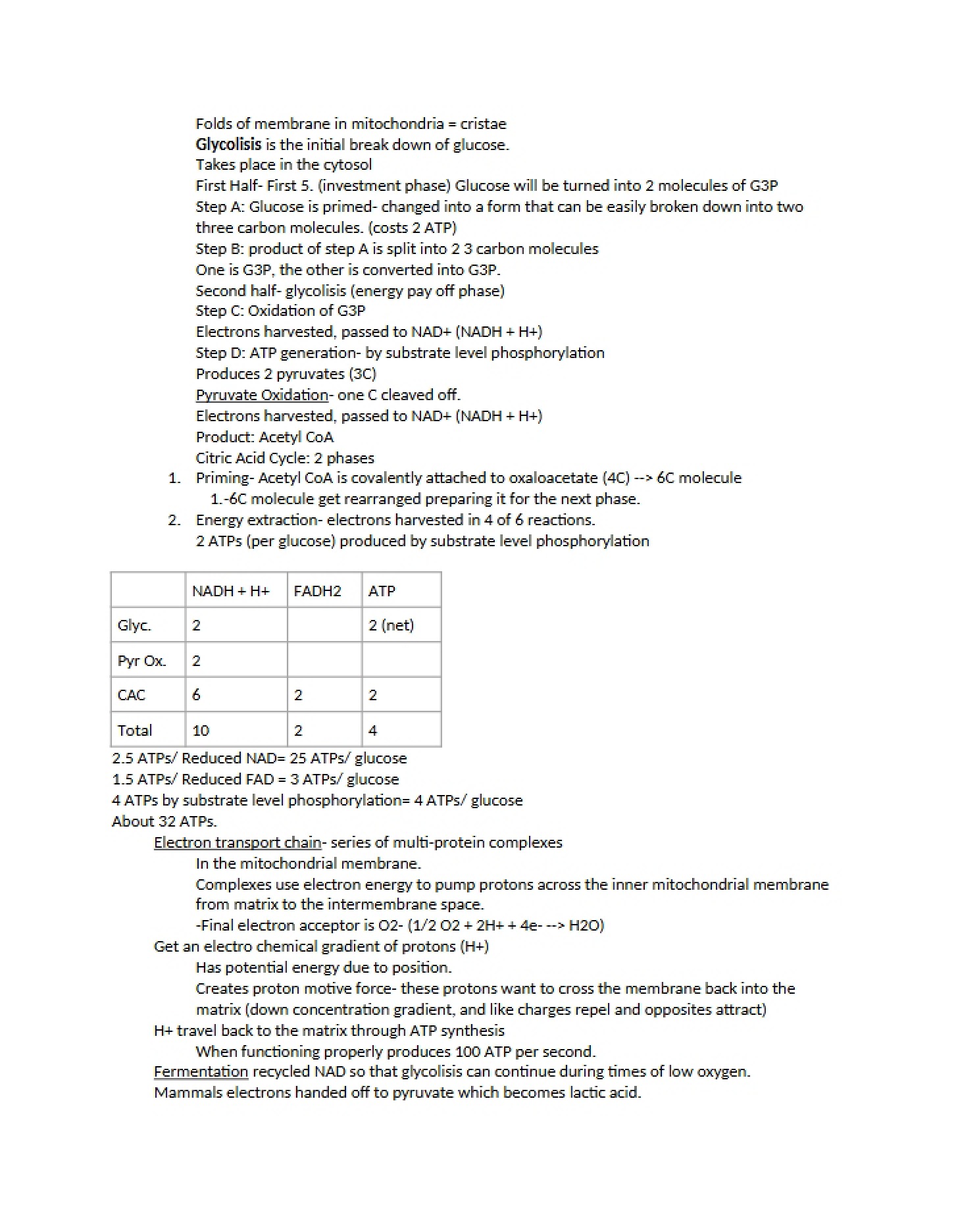 Bio Notes
