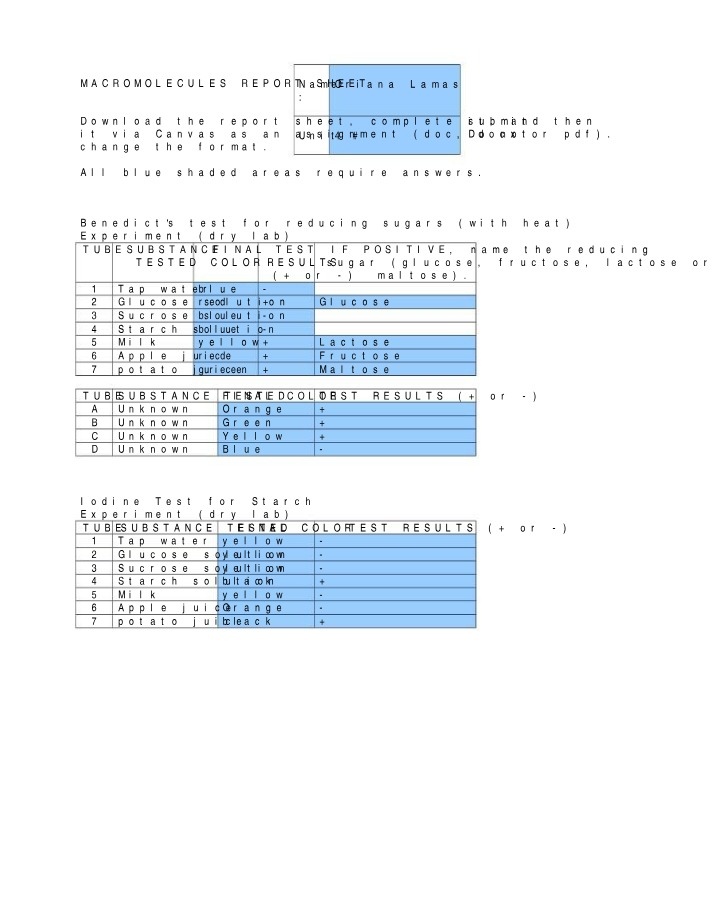 Macromolecules Lab Report