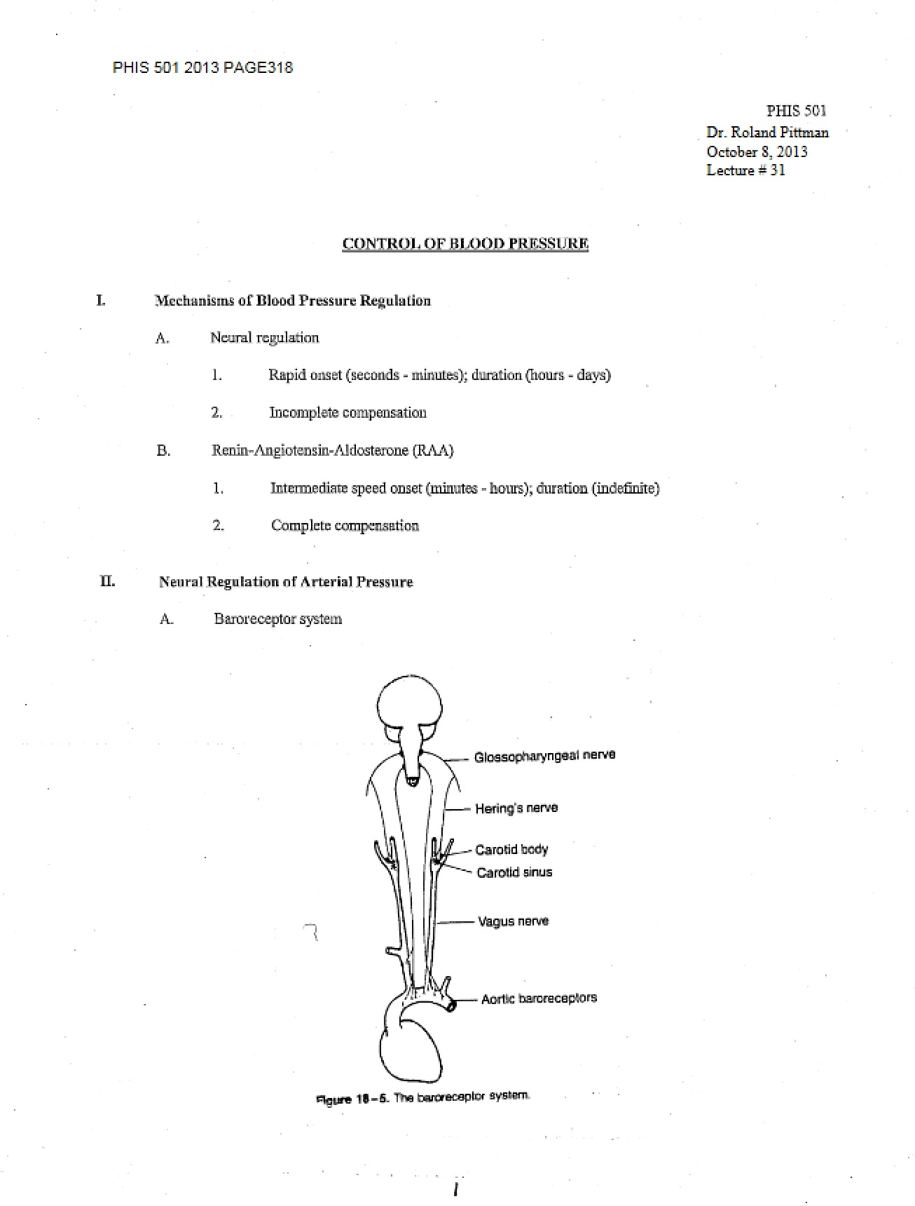 Lecture 31 Control of Blood Pressure
