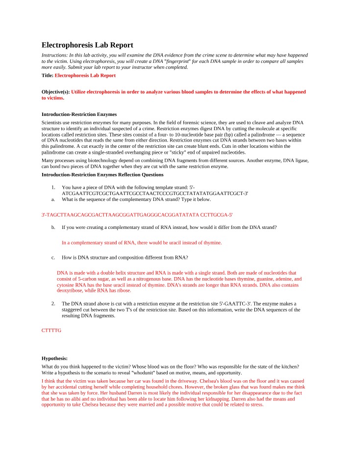 Forensic DNA Electrophoresis Lab Report