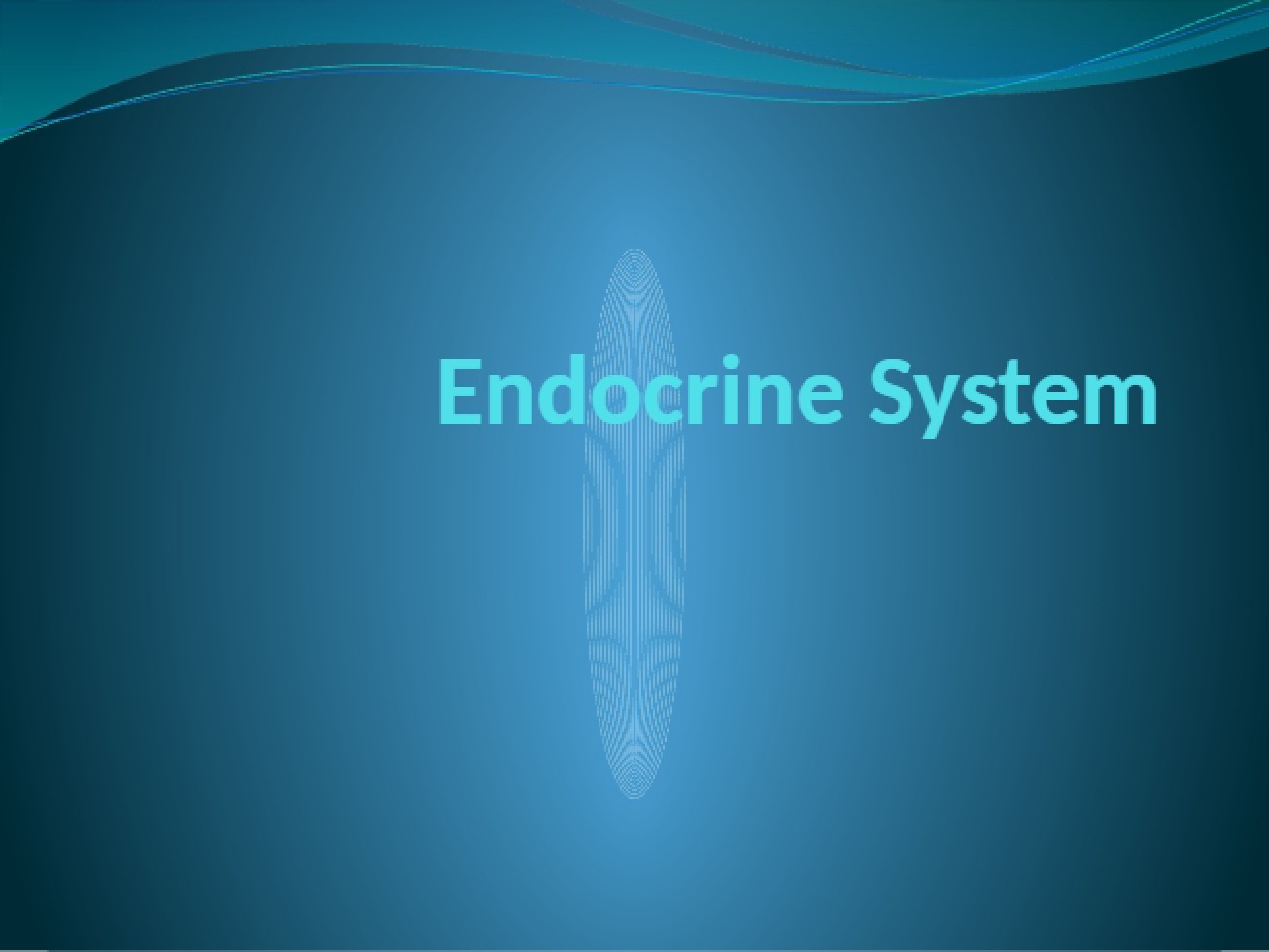 Endocrine System Review Part Two