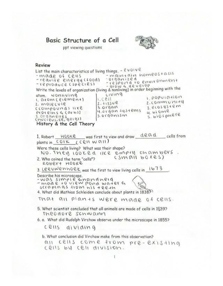 Cell Structure PPT - Viewing Questions
