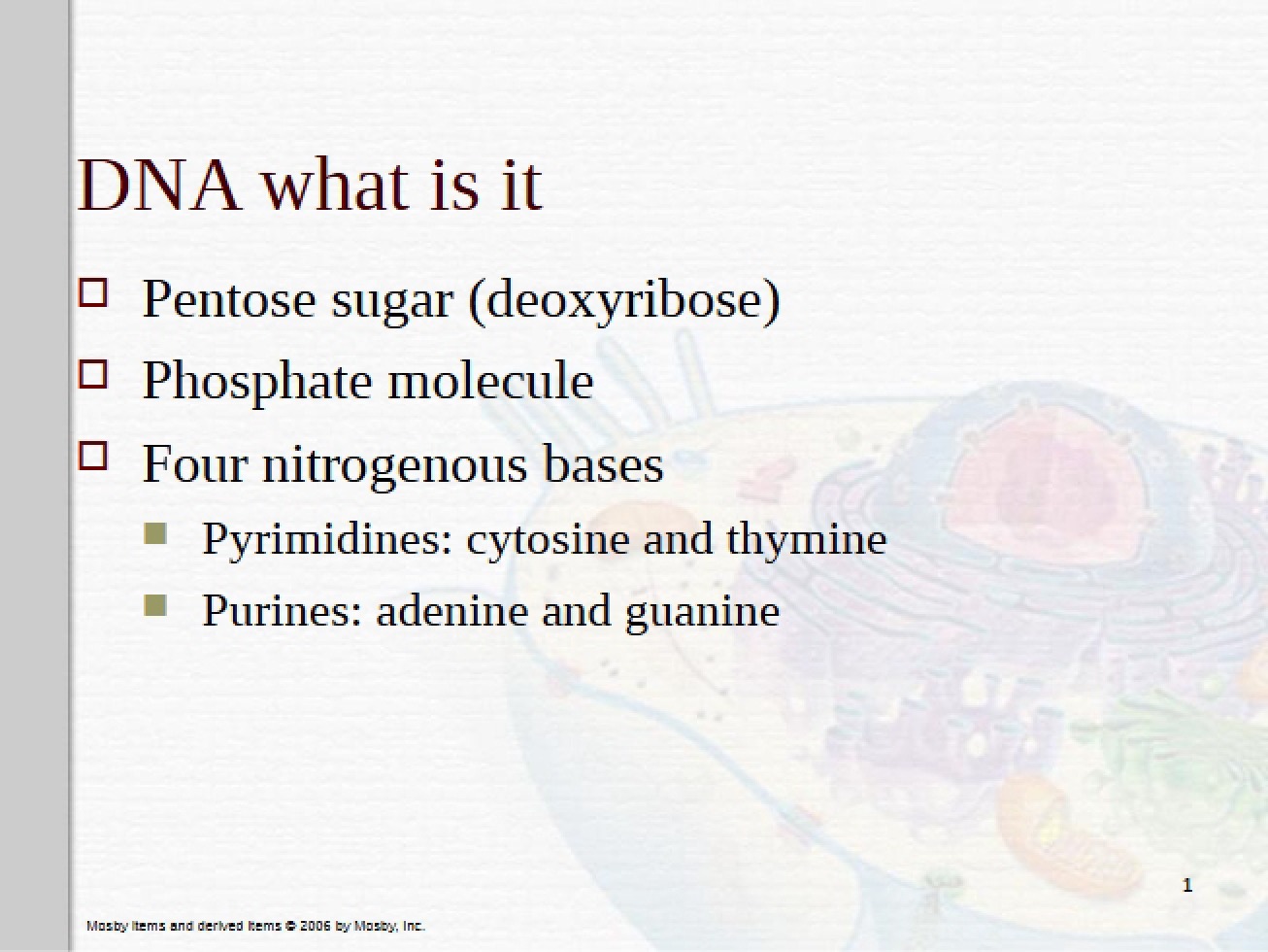 DNA Structure and Function