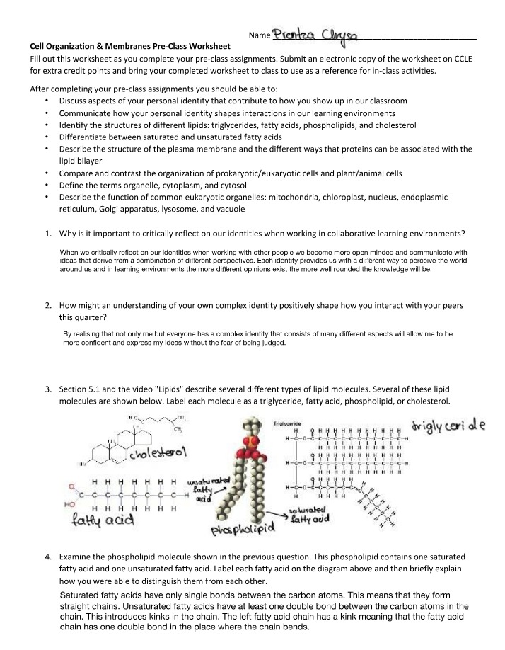 Cell Organization and Membranes Worksheet 09