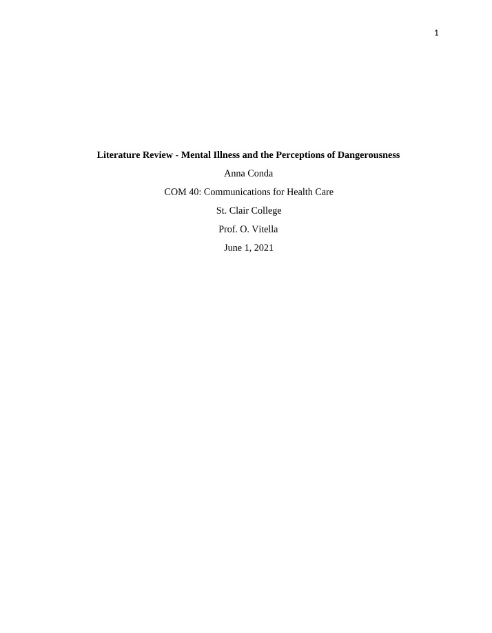Literature Review on Mental Illness and Perceptions of Dangerousness
