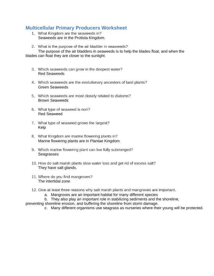 Worksheet on Multicellular Primary Producers