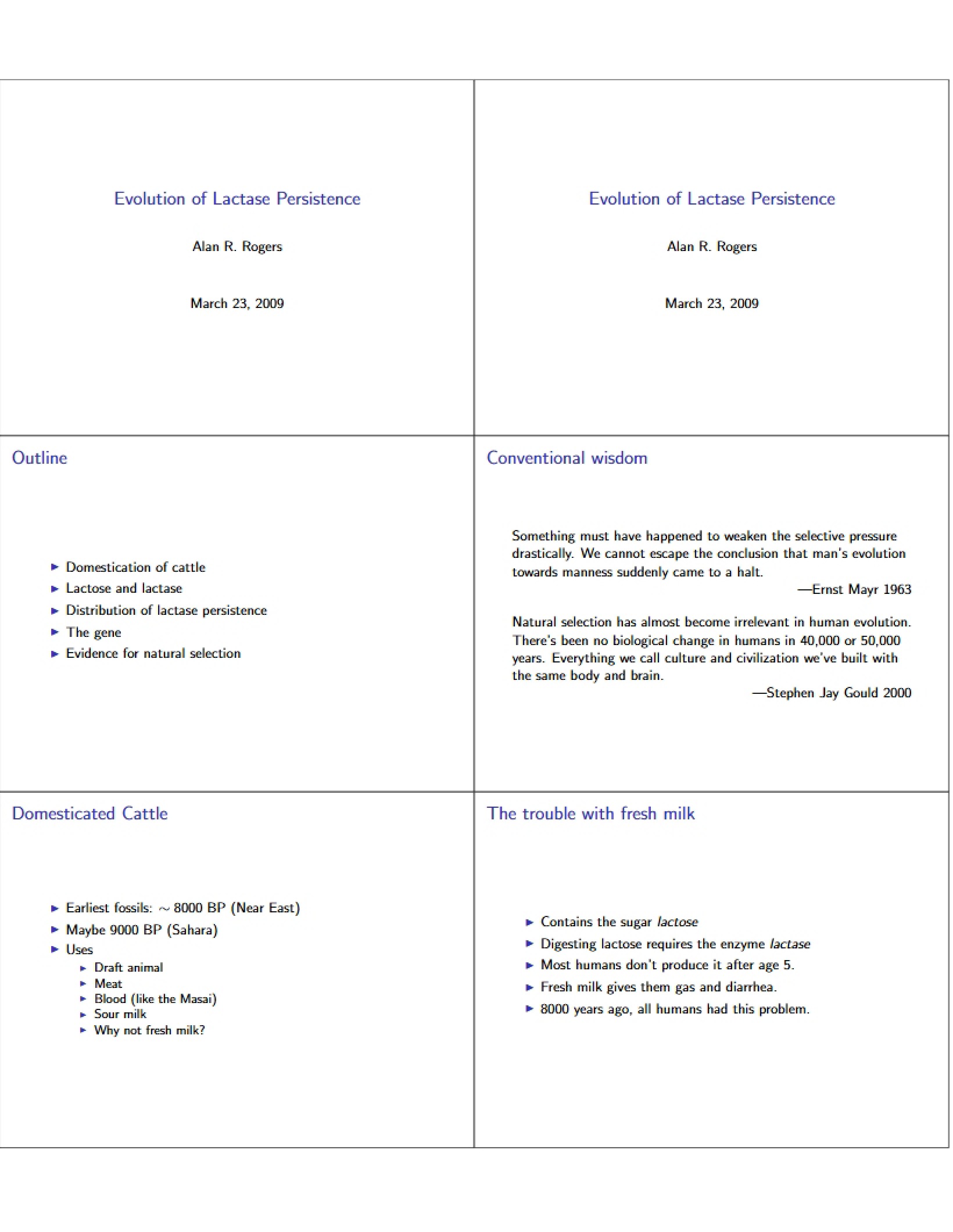 Lactase Persistence Evolution