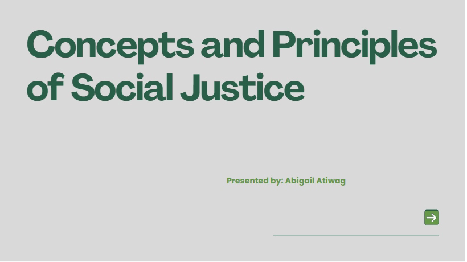 Social Justice Principles